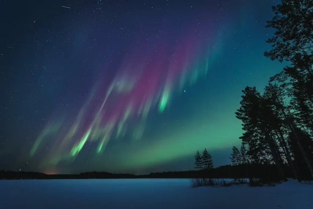 Bronwin Aurora Search Popularity: What the Numbers Suggest